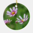 Suche nach kosmos ornamente Blume