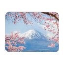 Recherche de mont magnets Volcan