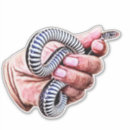 Suche nach weiße schlange aufkleber Natur