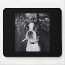Recherche de cigarettes tapis souris Chien