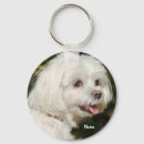 Recherche de chien caniche porteclés Animal