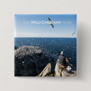 Recherche de télévision badges Docs