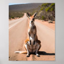 Recherche de kangourou posters Contenu générationnel