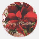 Recherche de poinsettia rouge autocollants Vert rouge et or