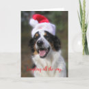 Suche nach lachend karten Lachend den ganzen weg