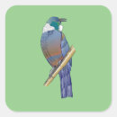 Suche nach zealand aufkleber Vogelvogel