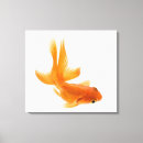 Recherche de poisson rouge toiles Orange