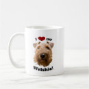 Recherche de akc tasses Terrier