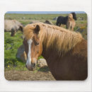Suche nach isländisch mousepads Bauernhof