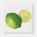 Suche nach rohe magnete Obst