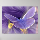 Suche nach die freiheit poster Digital