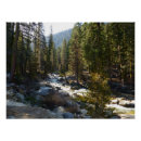 Recherche de rivières posters Arbres