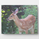 Suche nach schwanz fotoplatten Baby