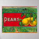 Recherche de caisses de fruit posters Lanterne