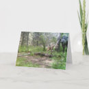 Suche nach moose karten Wald