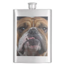 Recherche de bouledogue français bar Amoureux des chiens