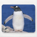 Suche nach gentoo pinguin mousepads Vogel