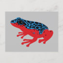Recherche de conservation cartes postales Amphibien