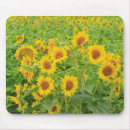 Suche nach moses mousepads Landwirtschaft