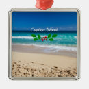 Suche nach florida weihnachten ornamente Tropisch