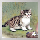 Suche nach striped poster Katze