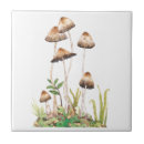 Recherche de champignon carreaux Brun