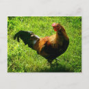 Suche nach handsome poster Bauernhof