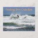 Suche nach surfing postkarten Surfer