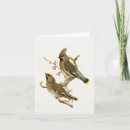 Suche nach ich bin ein vogelbeobachter karten Vintag