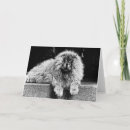 Suche nach portal alle karten Hund