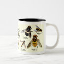 Recherche de entomologie tasses Mouches