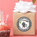 Suche nach opossums aufkleber Niedlich