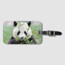 Suche nach panda gepäckanhänger Modern