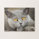 Suche nach russisches blau puzzle Kätzchen