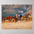 Suche nach wild horse poster Wildlife