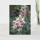 Suche nach verlust der schwester karten Mutter