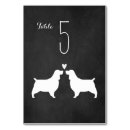 Recherche de amour espagne Dog