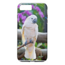 Recherche de perroquet iphone coques Animaux