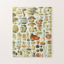 Suche nach vintage biologie puzzle Pilze