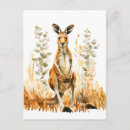 Recherche de kangourous cartes postales Faune