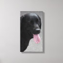 Suche nach rosa zunge poster Haustier