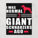 Suche nach welpe flyer Schnauzer