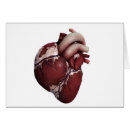 Recherche de coeur humain Ventricule