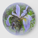 Recherche de iris horloges Floral