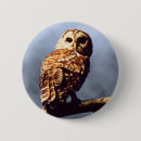 Recherche de hibou badges Nature