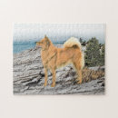Recherche de spitz puzzles Chien