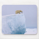 Suche nach ursus maritimus mousepads Meeressäuger