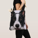 Recherche de de border collie accessoires Animaux