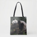 Recherche de chengdu accessoires Chine