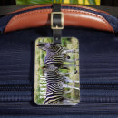 Recherche de zèbres accessoires Afrique